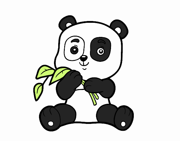 Un oso panda