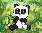 Un oso panda