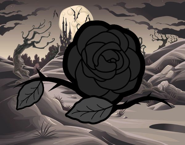 Dibujo de La rosa negra pintado por en Dibujos.net el día 11-08-20