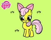 Apple Bloom