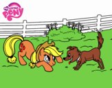 Applejack y Winona