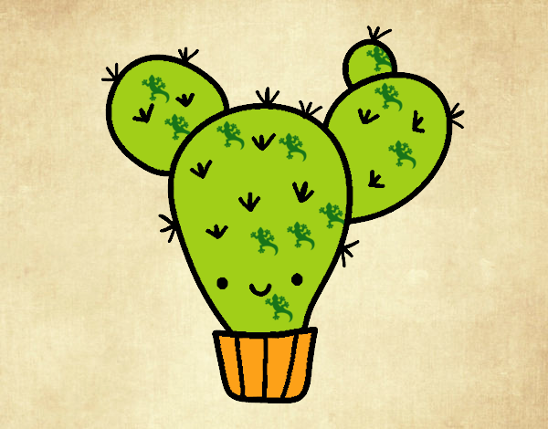 cactus