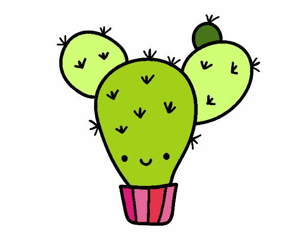 Cactus nopal