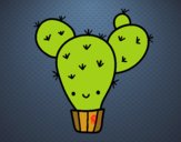 Cactus nopal