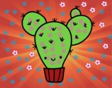 Cactus nopal