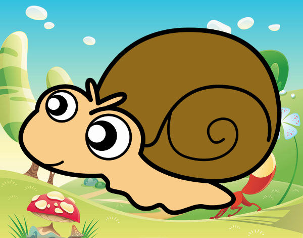 Caracol bebé