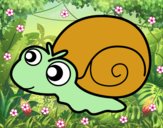 Caracol bebé