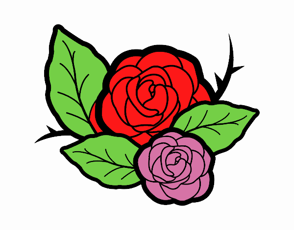 Dos rosas