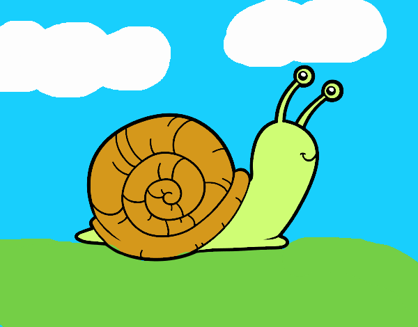 El caracol