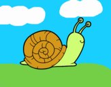 El caracol