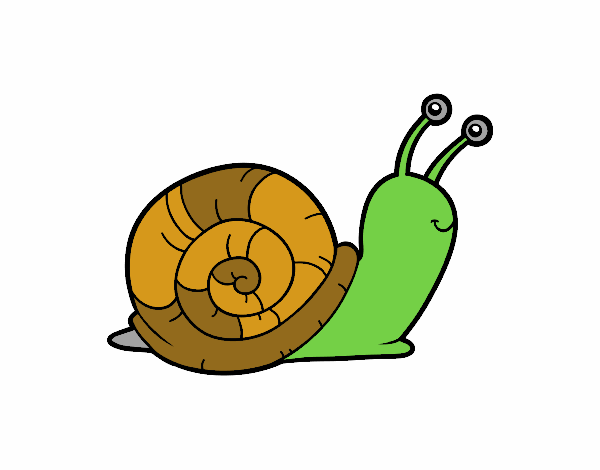 El caracol