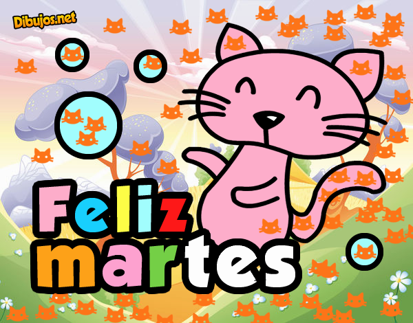 GATITO  MARTES