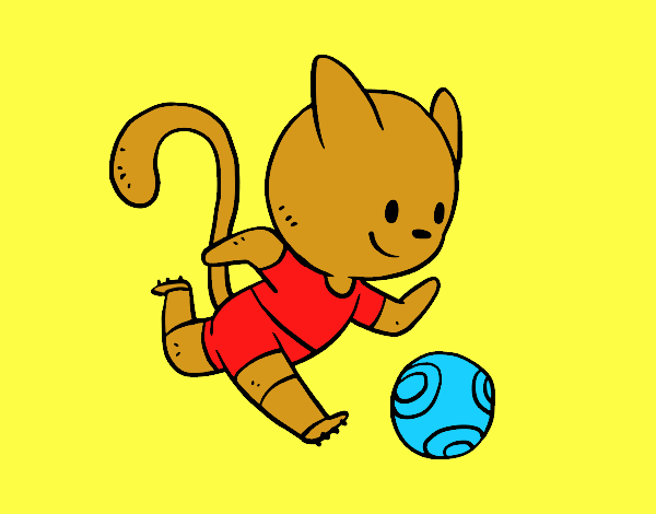 Gato jugando a fútbol