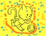 Gato jugando a fútbol