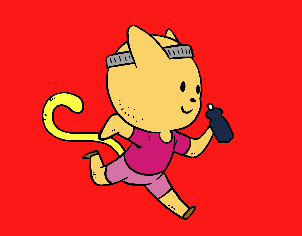 Gato runner