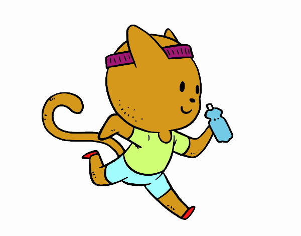 Gato runner