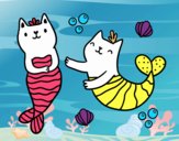 Gatos sirena