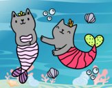 Gatos sirena