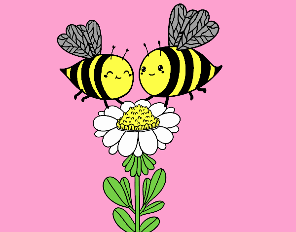 Pareja de abejas