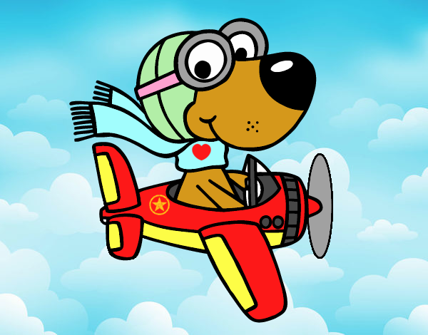 Perro piloto