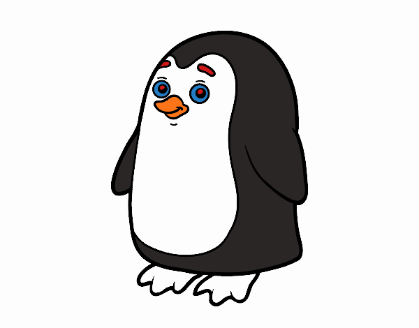 Pingüino antártico