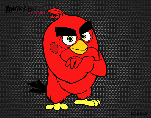 Red de Angry Birds