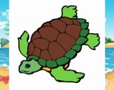 Tortuga