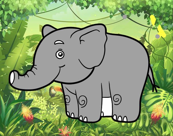 Elefante