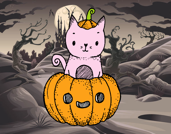 Un gatito de Halloween