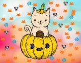 Un gatito de Halloween