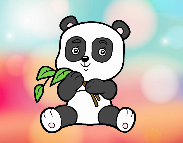 Un oso panda