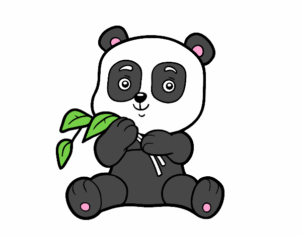 Un oso panda