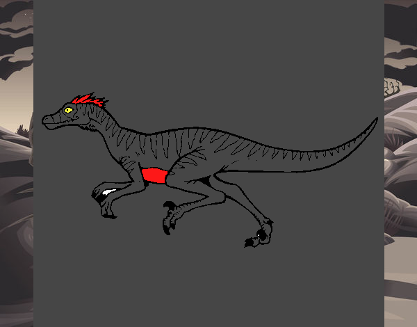 Velociraptor