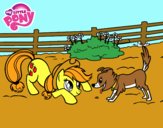 Applejack y Winona