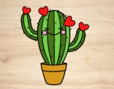 Cactus corazón