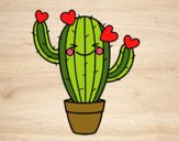 Cactus corazón