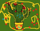 Cactus corazón