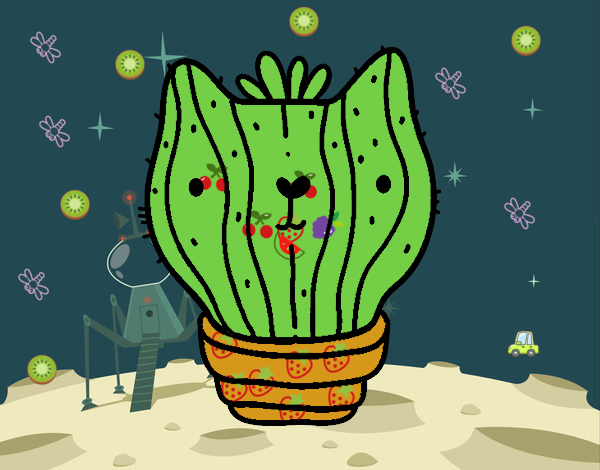 Cactus gato