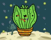 Cactus gato