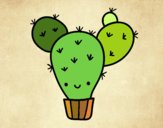 Cactus nopal