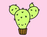 Cactus nopal