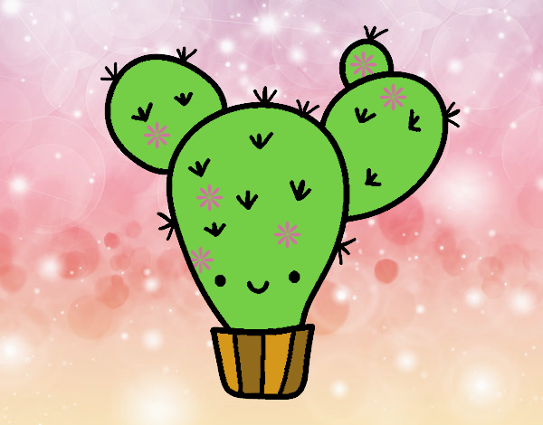 Cactus nopal