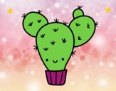 Cactus nopal