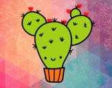 Cactus nopal