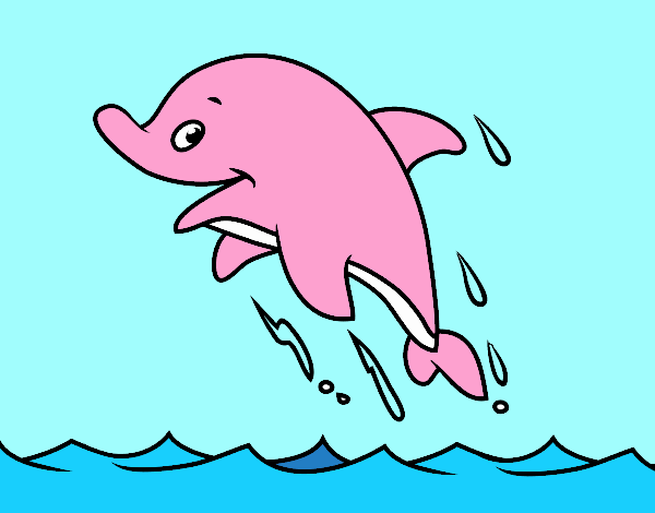 delfin rosado