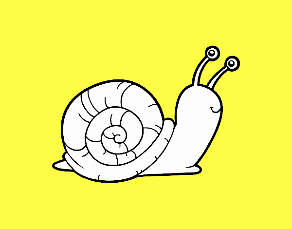 El caracol