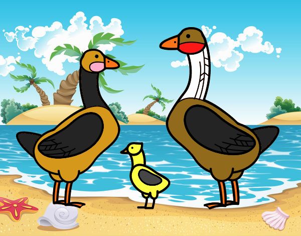 Pato pata y patito