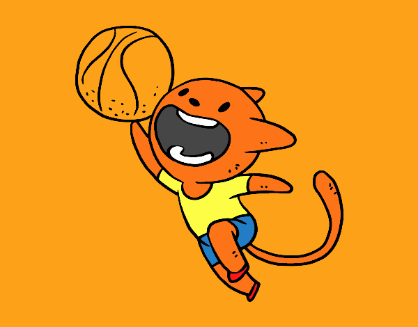 Gato jugando a baloncesto