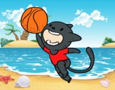 Gato jugando a baloncesto