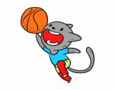 Gato jugando a baloncesto